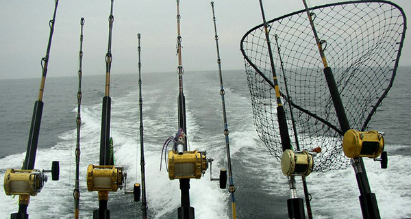 How we fish  Reelin Sportfishing Charters